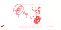 ALTERNATEUR pour Honda WAVE 125 NEXT GENERATION 2008