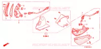 CLIGNOTANT AVANT (2) pour Honda WAVE 125 NEXT GENERATION 2008