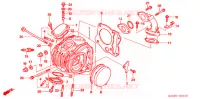 CULASSE pour Honda WAVE 125 NEXT GENERATION 2008