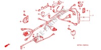 FAISCEAU DES FILS pour Honda EX5 DREAM 100, Electric start 2011