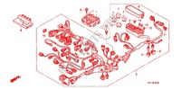 FAISCEAU DES FILS (CBR1000RR) pour Honda CBR 1000 RR FIREBLADE TRICOLOUR 2011