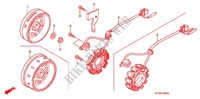 ALTERNATEUR pour Honda CBF 125 STUNNER Front brake drum 2010