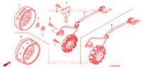 ALTERNATEUR pour Honda CBF 125 MC STUNNER Front brake disk 2011