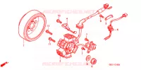 ALTERNATEUR pour Honda MAGNA 50 2000