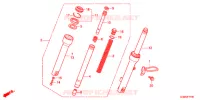 FOURCHE pour Honda BENLY 50 YUSEI 2012