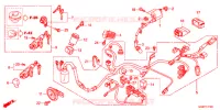 FAISCEAU DES FILS pour Honda BENLY 50 2013