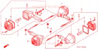 CLIGNOTANT pour Honda NS 50 F 1990