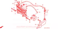 RADIATEUR pour Honda NS 50 F 1990