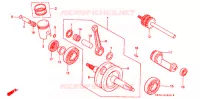VILEBREQUIN pour Honda NS 50 F 1990