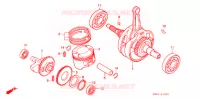VILEBREQUIN pour Honda NX 250 1988