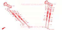 ARBRE A CAMES   SOUPAPE pour Honda NX 250 AX1 1996