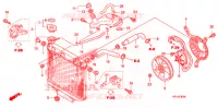 RADIATEUR pour Honda TRX 450 R SPORTRAX Electric Start RED 2013