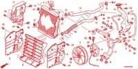 RADIATEUR pour Honda FOURTRAX 500 FOREMAN 4X4 Power Steering, CAMO 2014
