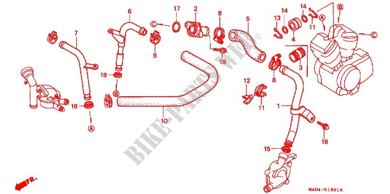 DURITE DE REFROIDISSEMENT pour Honda VT 1100 SHADOW C2 ACE white ribbon tire 1997