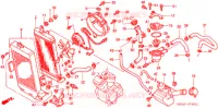 RADIATEUR pour Honda SHADOW VT 750 DELUXE ACE Candy Orange/Orange Motif paint scheme 2003
