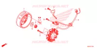 ALTERNATEUR pour Honda XR 150 2018