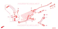 PEDALE pour Honda CRF 125 F 2019