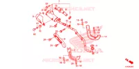 SILENCIEUX D'ECHAPPEMENT (CRF110F'19) pour Honda CRF 110 2019