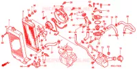 RADIATEUR pour Honda SHADOW 750 2001