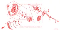 ROUE ARRIERE  pour Honda ACE 125 SPOKED WHEELS TYPE PE 2019