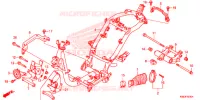 CADRE pour Honda ACTIVA S 125 -TU- 2019