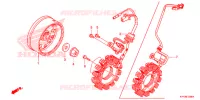 ALTERNATEUR pour Honda CRF 110 2020