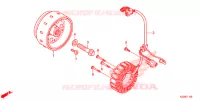 ALTERNATEUR pour Honda CRF 250 L 2019