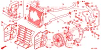 RADIATEUR pour Honda FOURTRAX 520 RUBICON DCT EPS DELUXE 2020